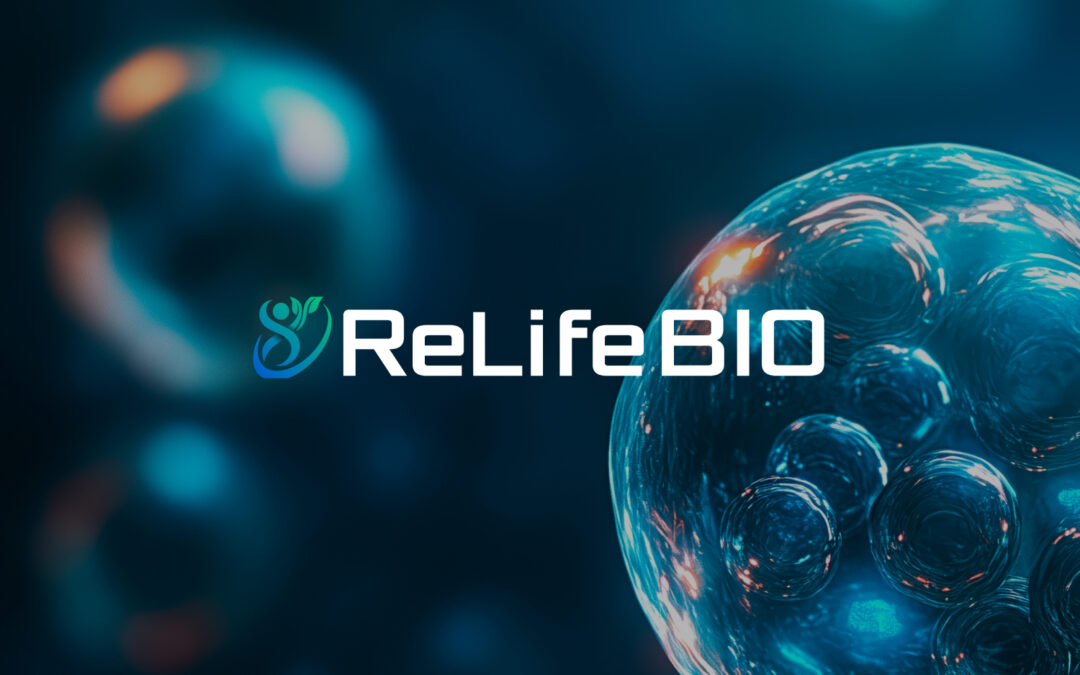 리라이프바이오 공식 홈페이지 구축